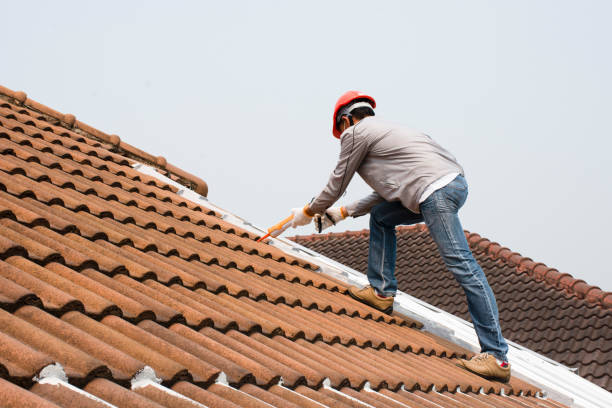 Best Roof Maintenance and Cleaning  in Moody, AL